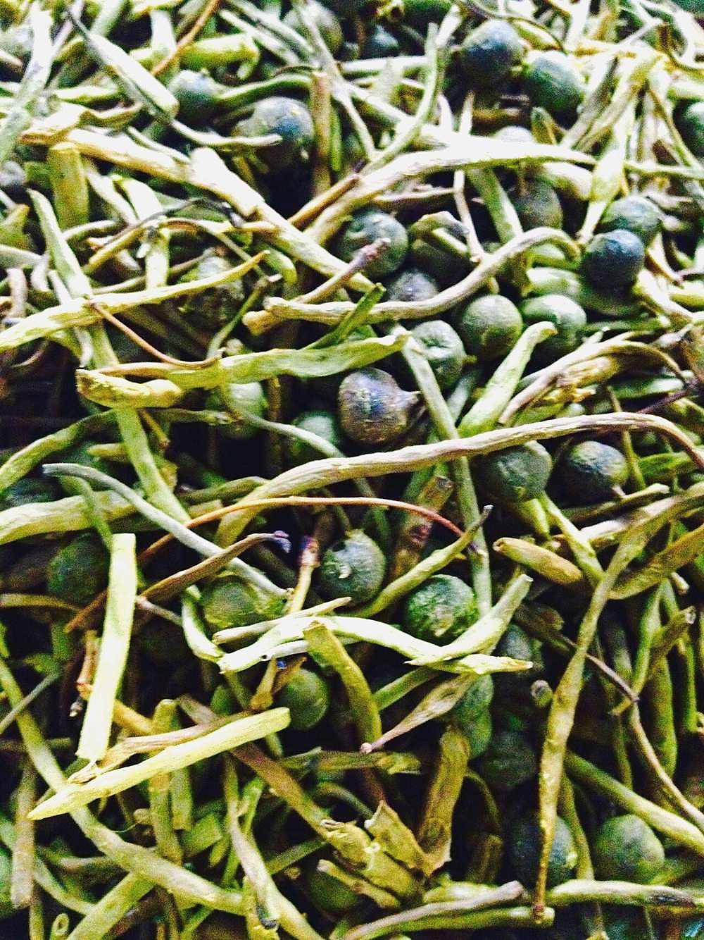 Ker Sangri