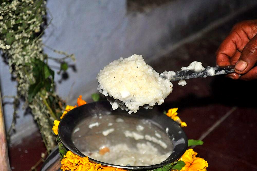 Sakkarai Pongal
