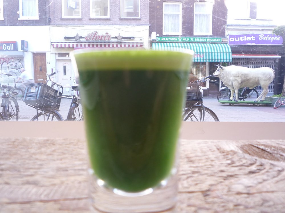 Wheatgrass Shot