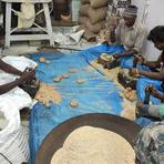 Tilkut, sesame and jaggery pounded into discs